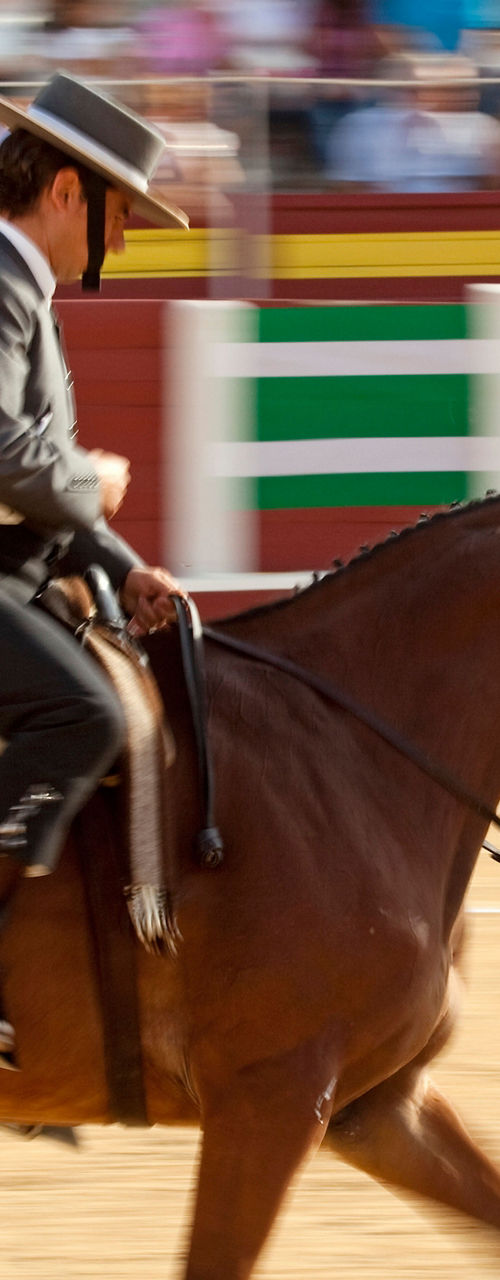 Equestrian rider in traditional attire at arena