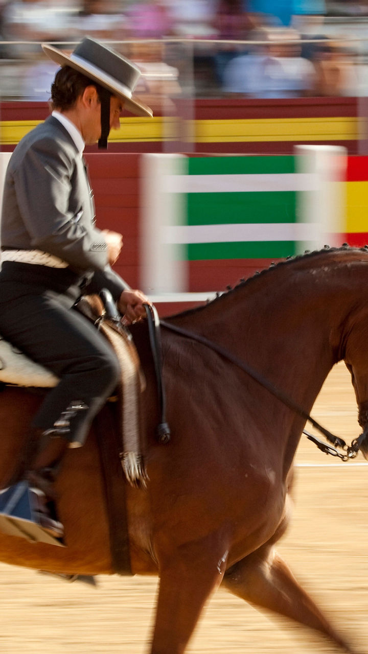 Andalusian Horse Show