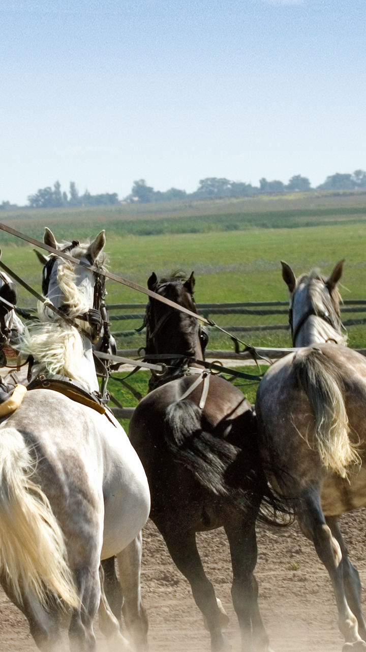 Cowboy riding multiple horses outdoors