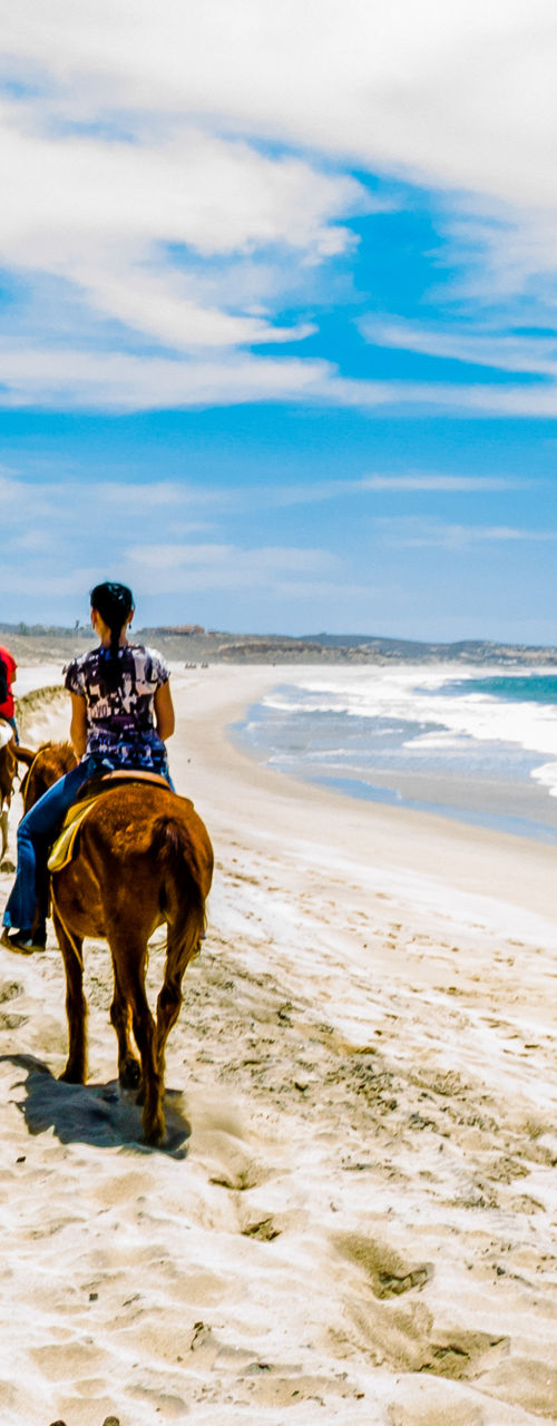 Horseback riders on scenic beach trail