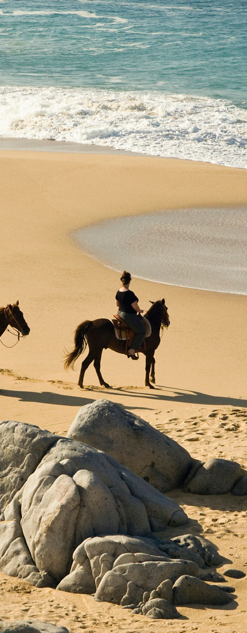 Group horseback riding along rocky beach shoreline