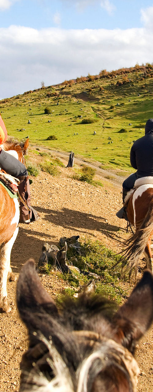 Horseback riders on scenic hillside trail