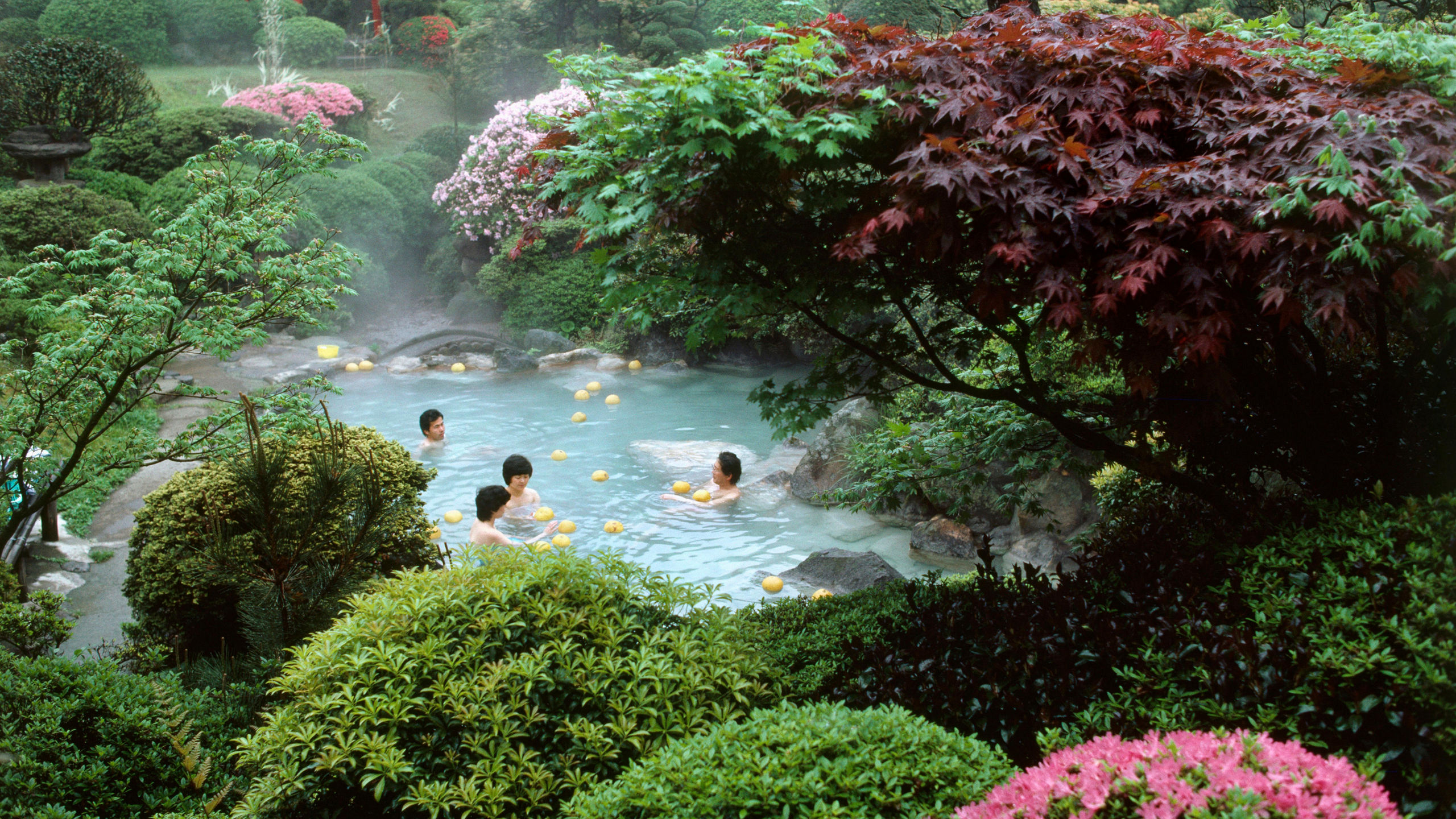 Far Eastern Horizons