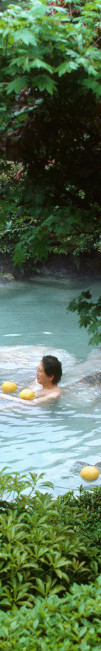 Serene hot spring in lush Japanese garden