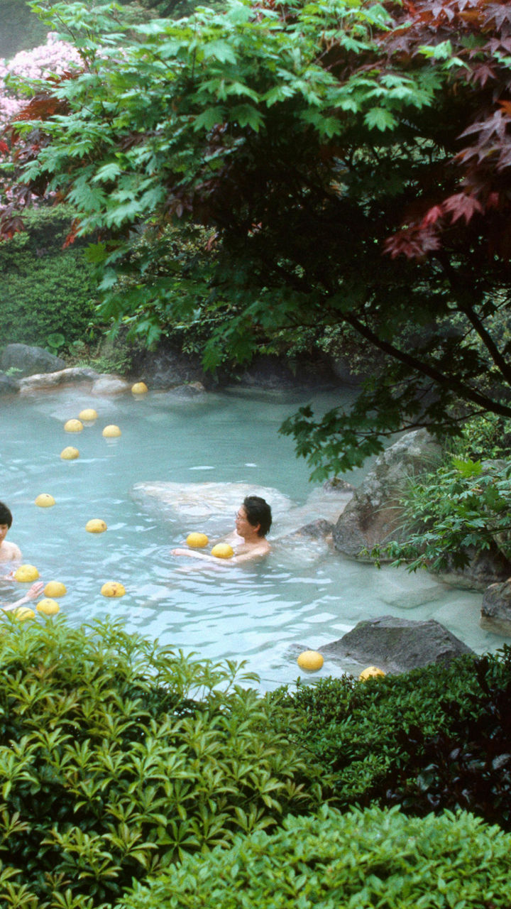 Serene hot spring in lush Japanese garden
