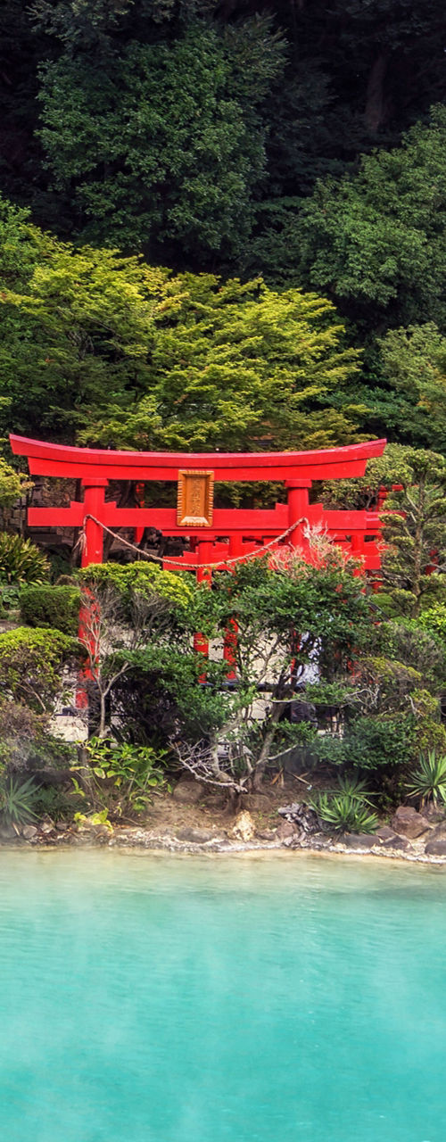 Steaming Hot Spring Pond with Red Torii Gate