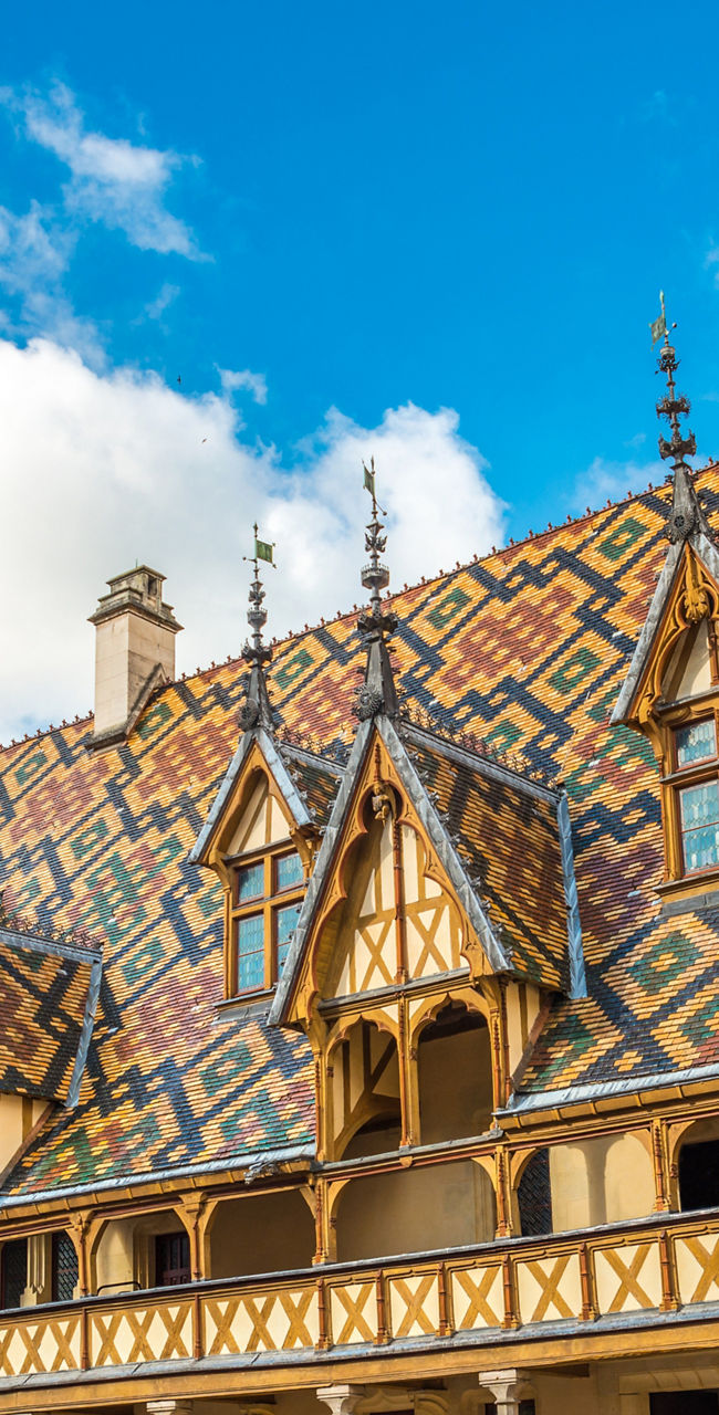 Historic building with colorful tiled roof