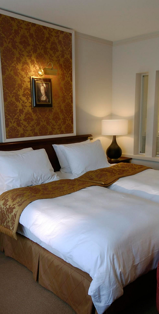 Elegant hotel room with twin beds
