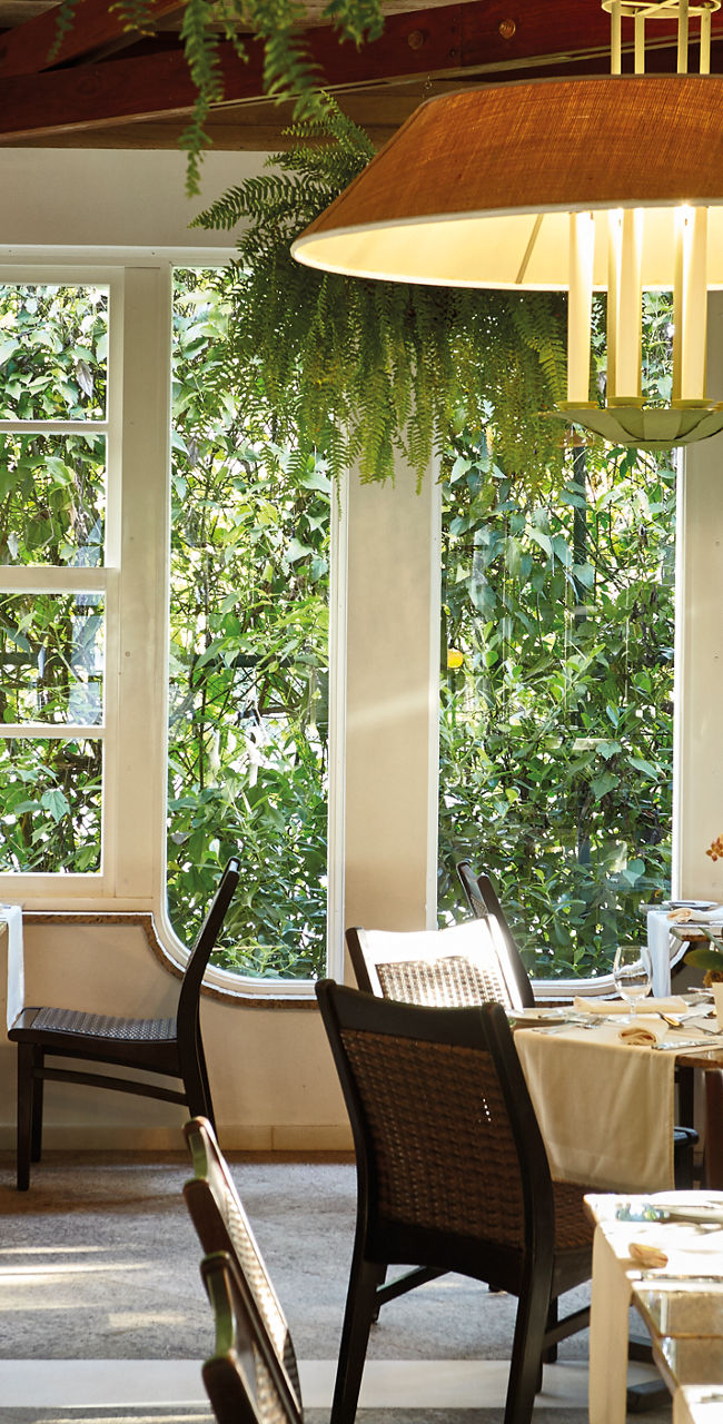 Bright restaurant interior with greenery