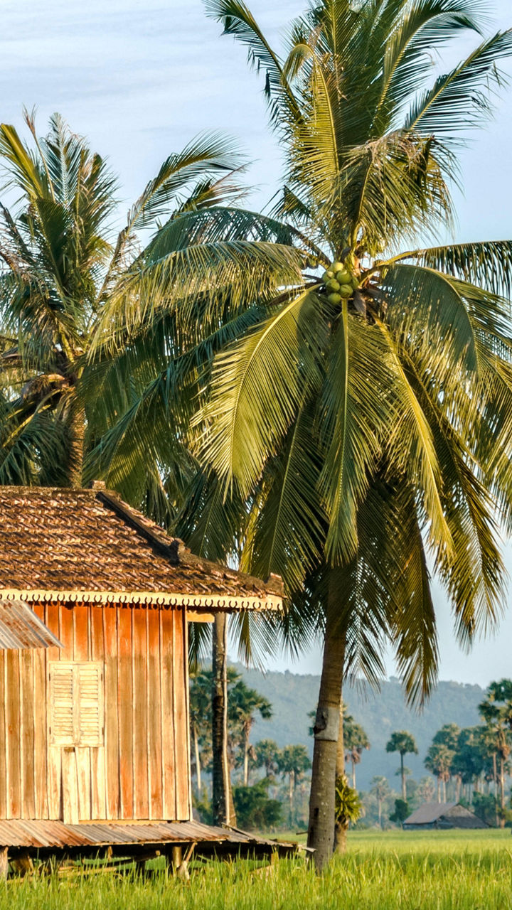 Traditional wooden house in tropical landscape