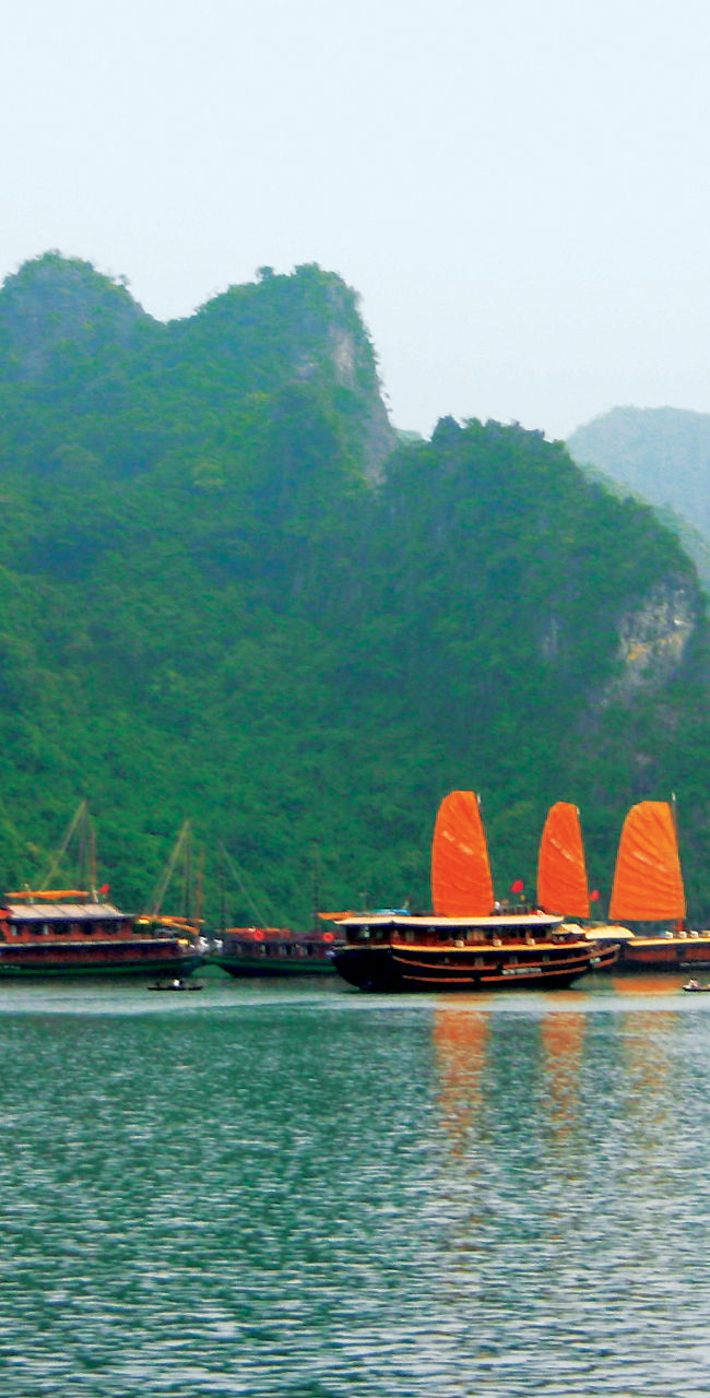 Traditional boats in scenic Halong Bay