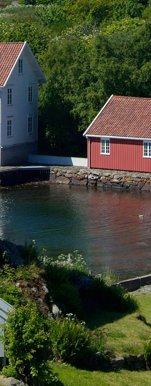 Scenic coastal village with red rooftops