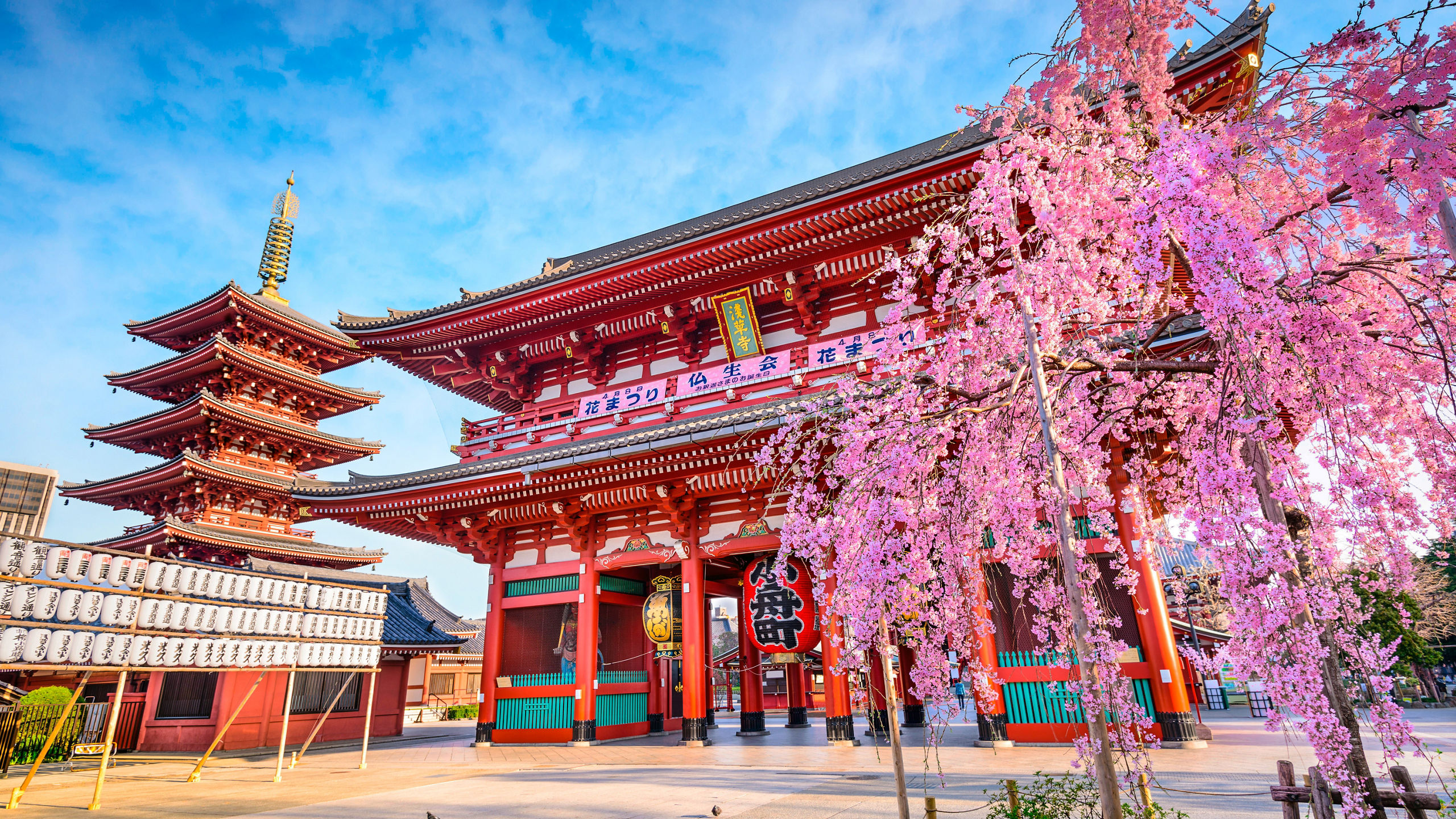 Far Eastern Horizons