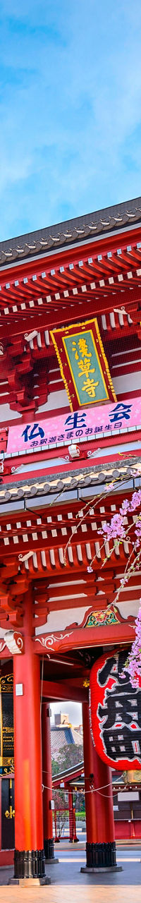 Senso-ji Temple with cherry blossoms in Tokyo