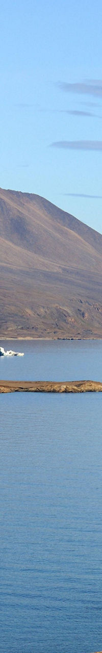 Scenic Arctic landscape with mountains and icebergs
