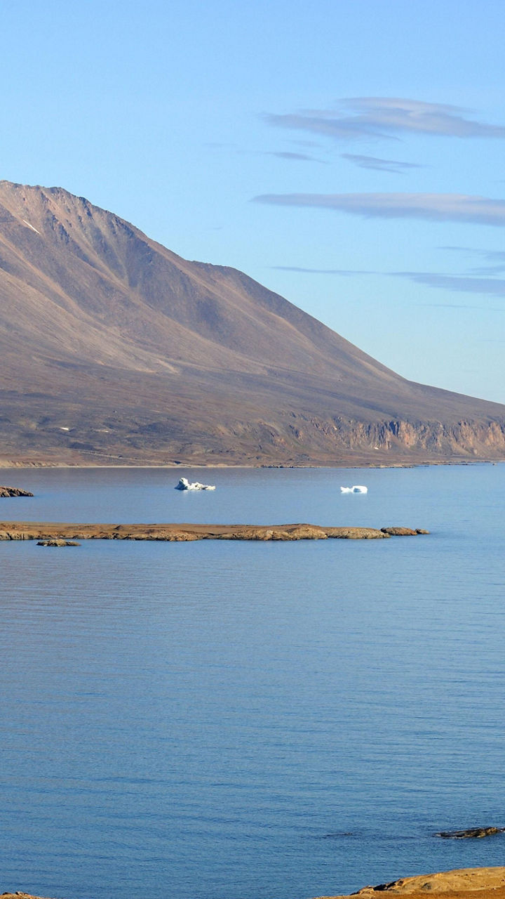 Scenic Arctic landscape with mountains and icebergs