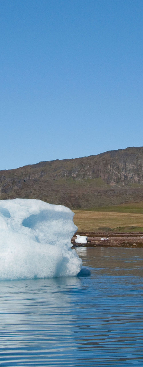 Floating iceberg in serene Arctic landscape