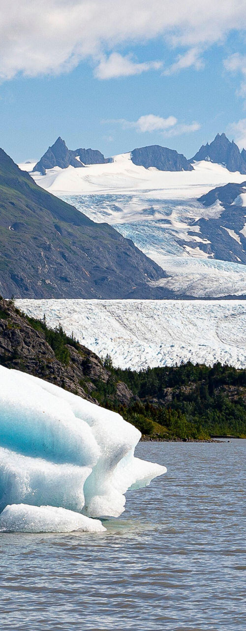 Floating iceberg with glacier backdrop
