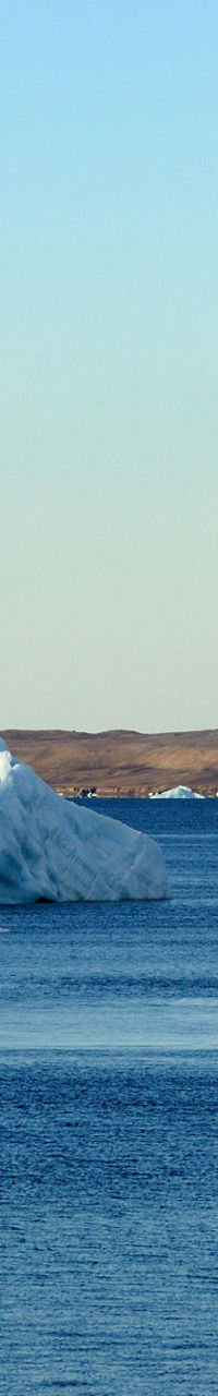 Icebergs floating in Arctic waters