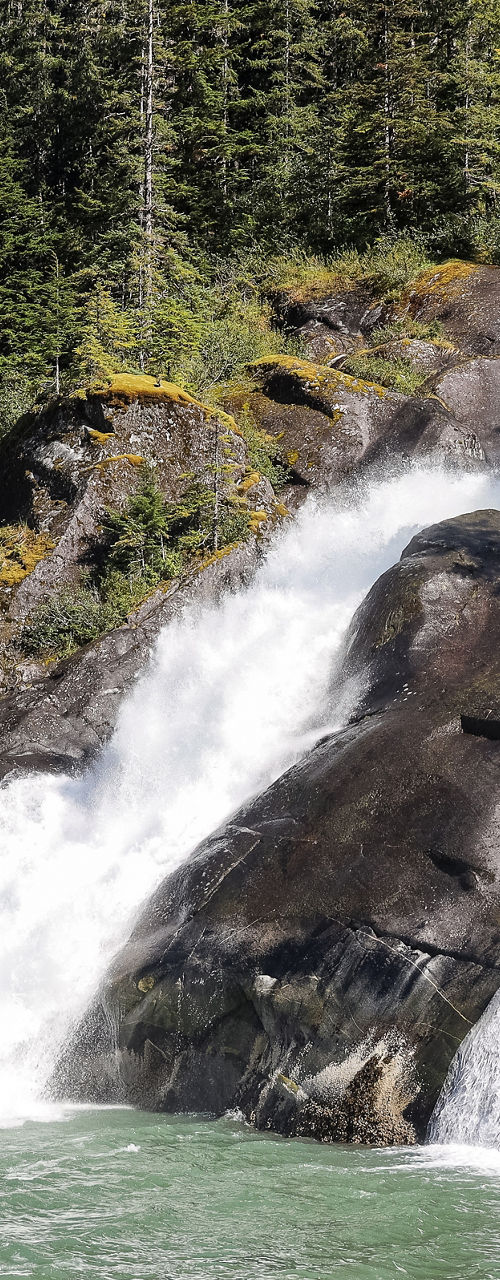 Scenic Waterfall Cascading Through Forested Mountainside