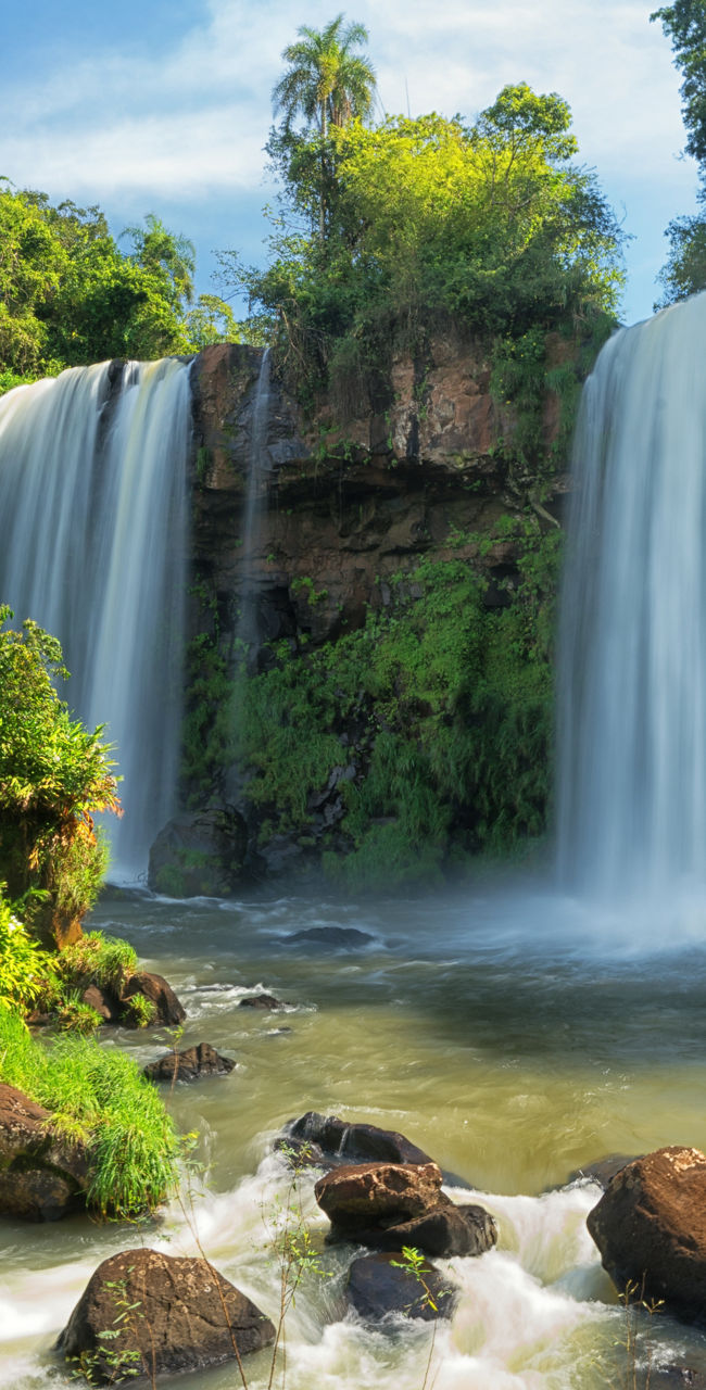 Scenic twin waterfalls in lush forest
