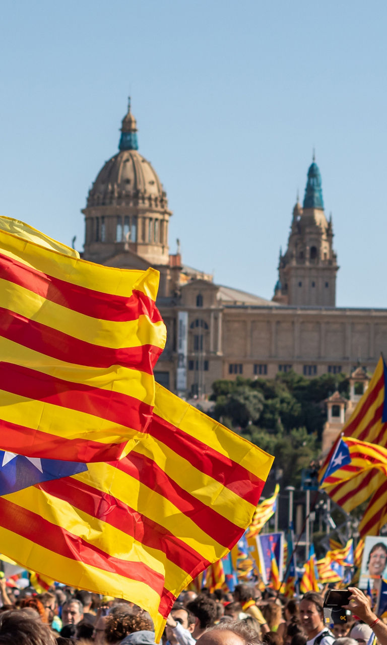 Crowd with Catalan flags in Barcelona rally