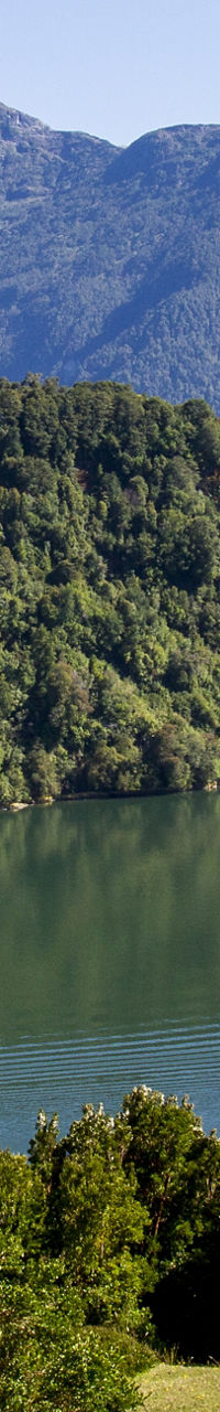 Scenic mountain lake with lush greenery