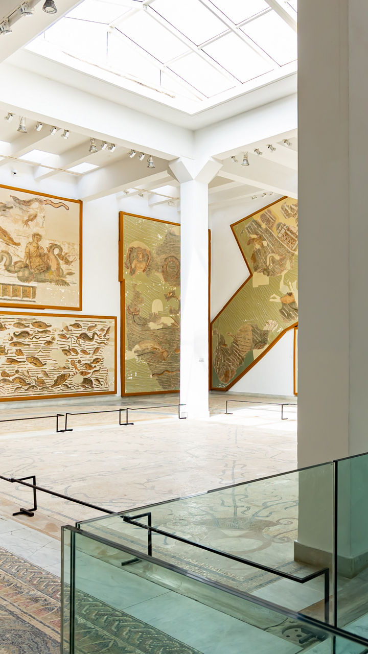 Bardo Museum & Ancient Carthage
