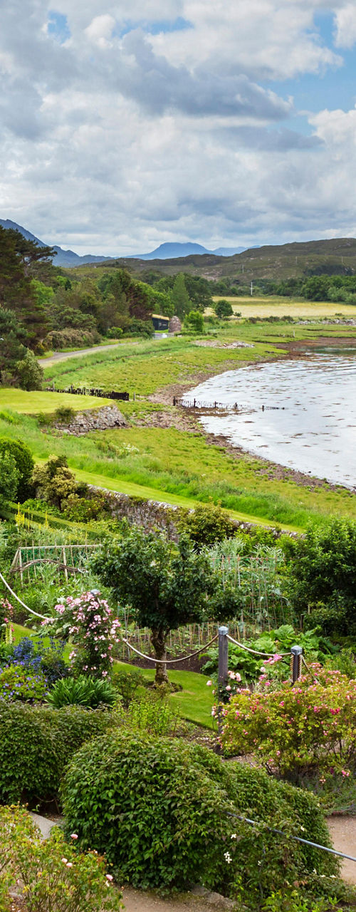 Scenic coastal garden with vibrant flowers
