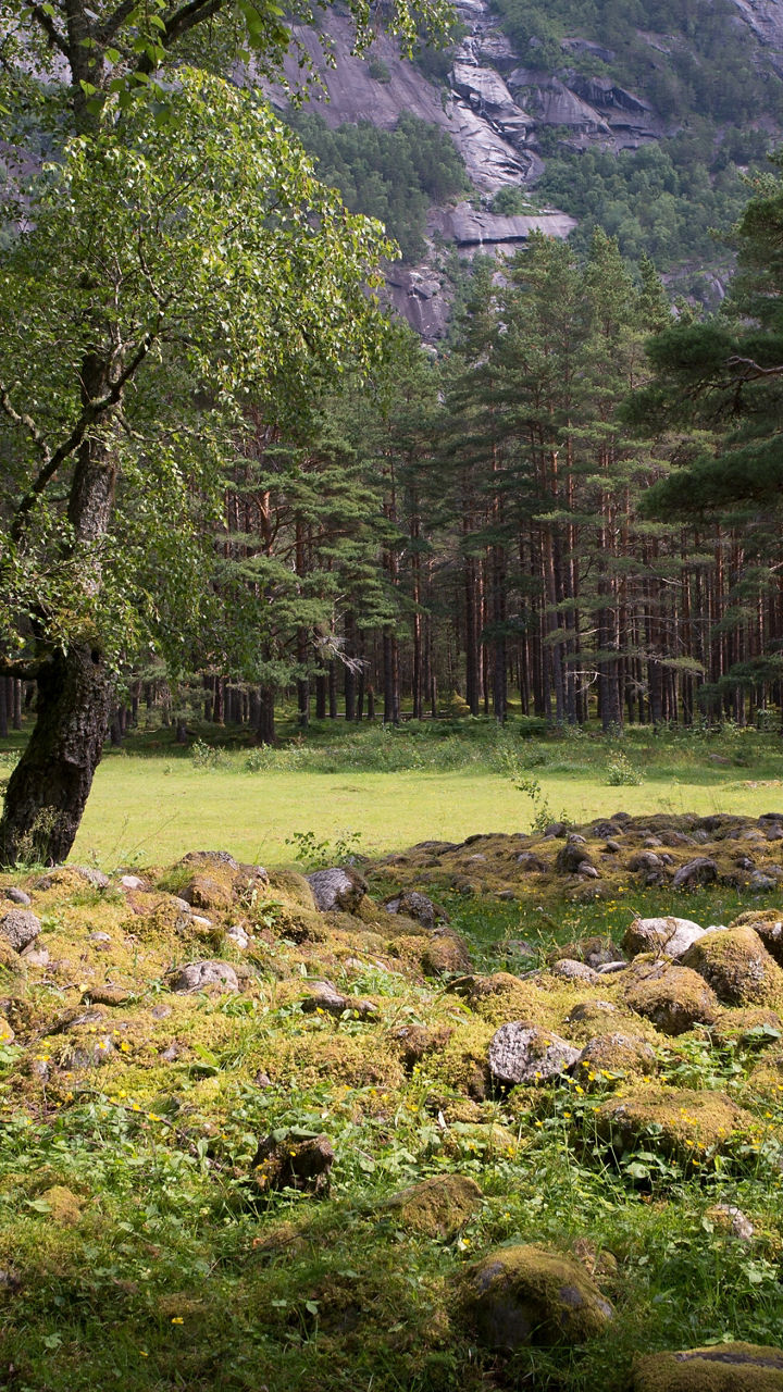 Viking Life in Hardanger