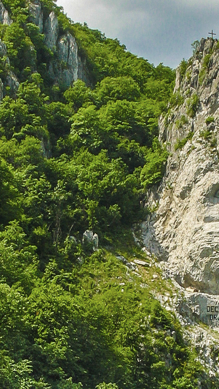 Rock sculpture by river in lush landscape