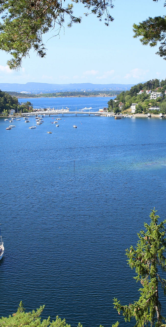 Scenic coastal view with sailboat
