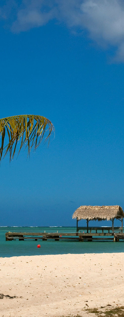 Tropical beach with palm trees and huts