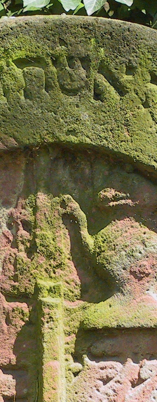 Ancient moss-covered gravestone with Hebrew text