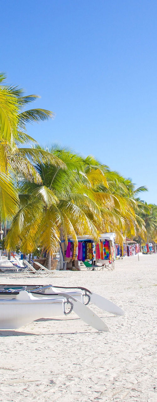 Tropical beach with sailboat and palm trees