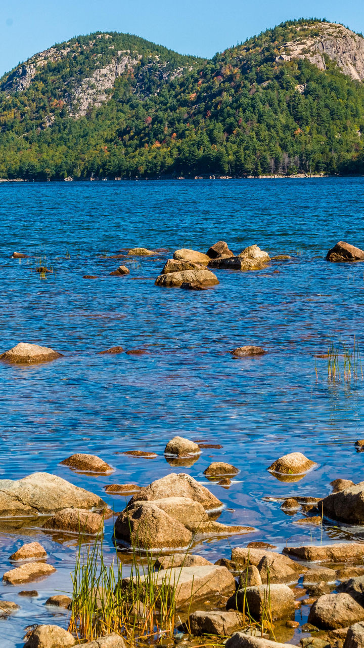 Acadia’s Park Loop Road & Ocean Path Drive