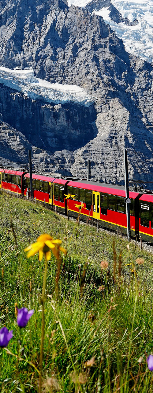 Scenic mountain train with alpine backdrop