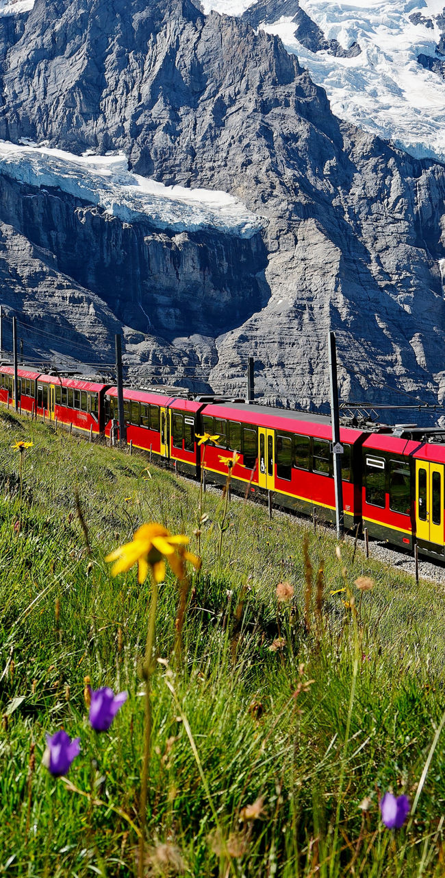 Scenic mountain train with alpine backdrop