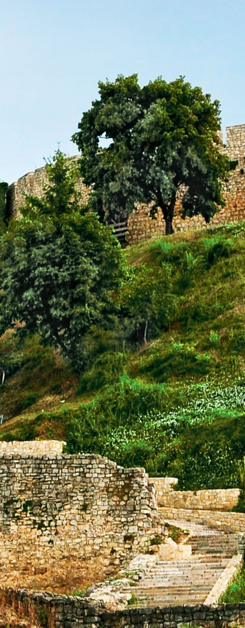 Historic fortress on lush green hill