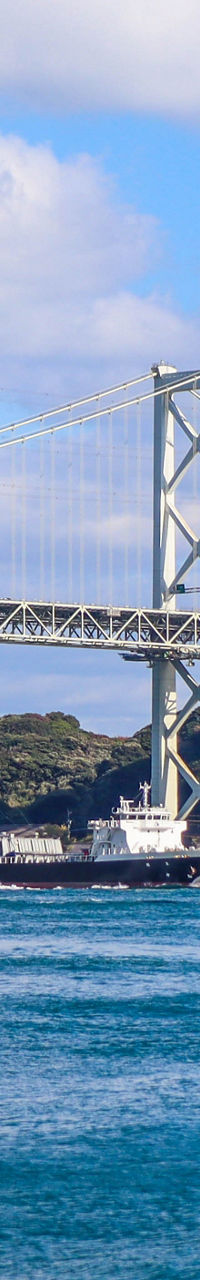 Cargo ship passing under large suspension bridge