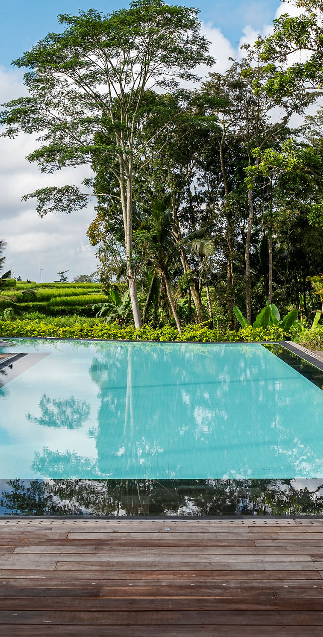 Luxury resort pool with tropical surroundings