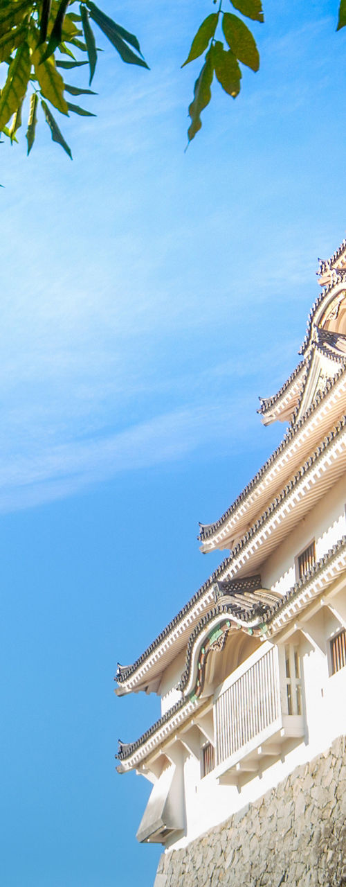 Traditional Japanese Castle Under Clear Blue Sky