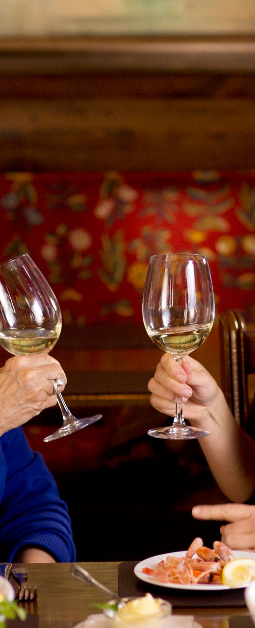 Two women toasting with white wine