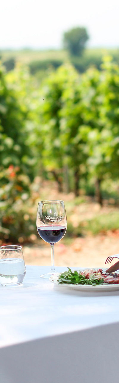 Outdoor vineyard dining with wine and food