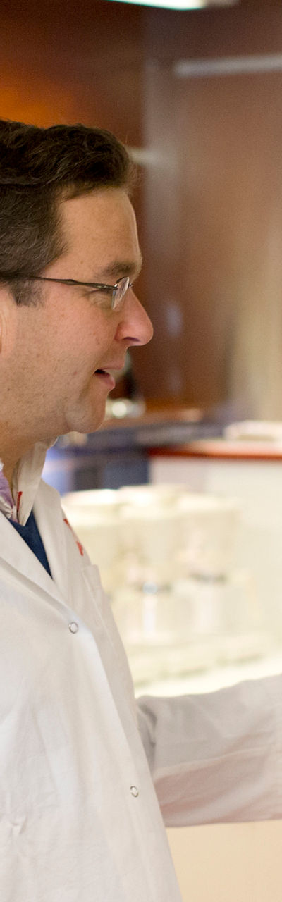 Professional kitchen discussion with chefs