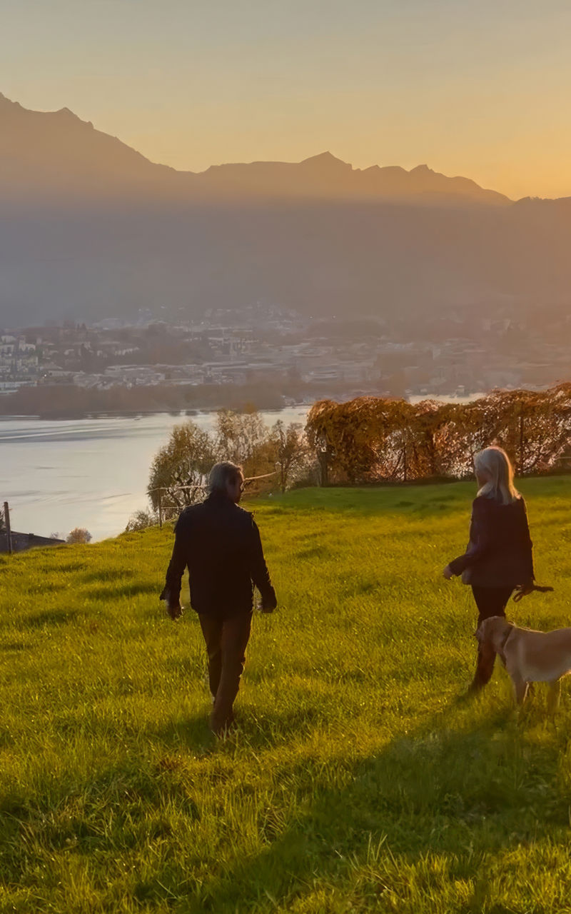Couple walking with dog at sunset