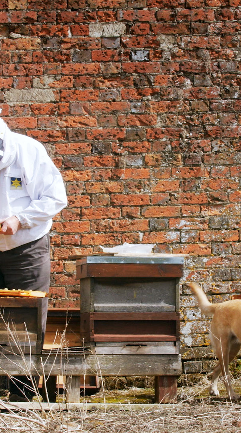 Beekeeping activity with honeycombs outdoors