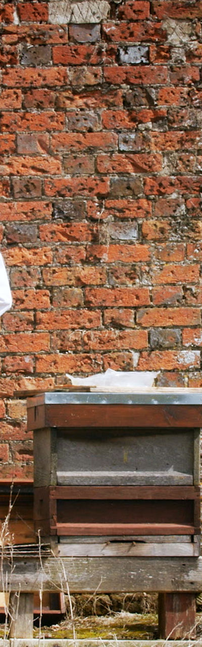 Beekeeping activity with honeycombs outdoors