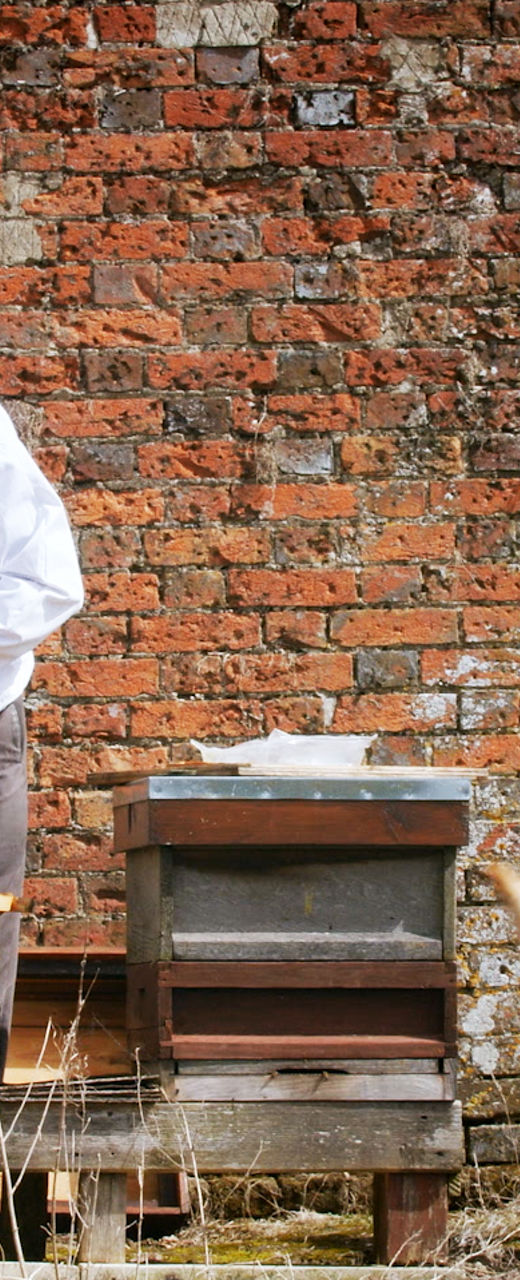 Beekeeping activity with honeycombs outdoors