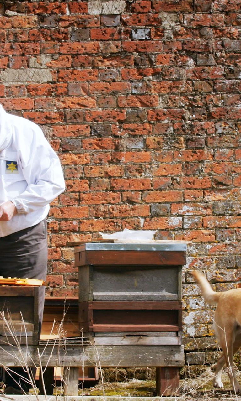 Beekeeping activity with honeycombs outdoors